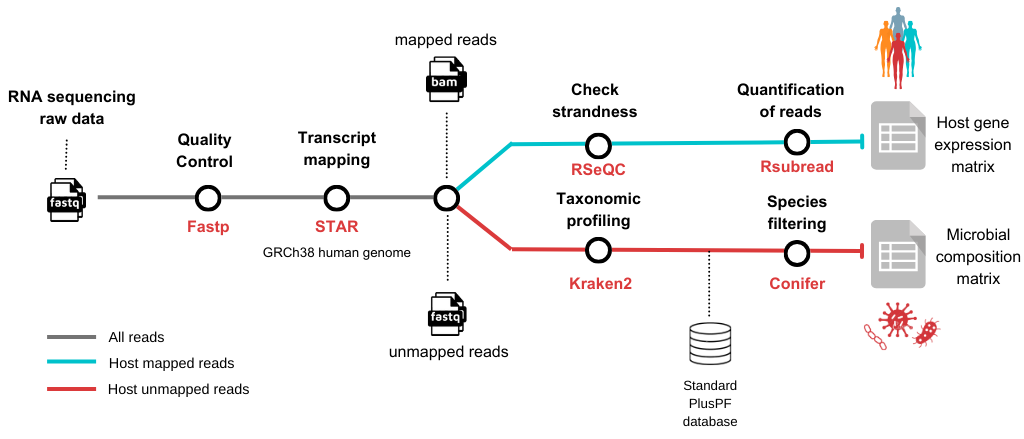 phiflow metro map